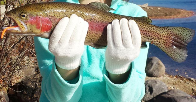 How to Catch Trout –
